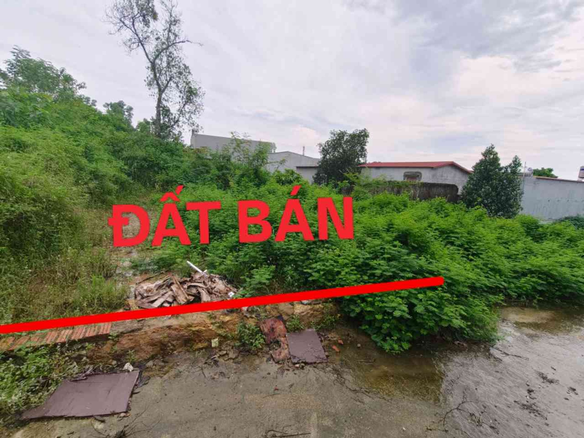 Cơ hội vàng sở hữu lô góc 3 mặt thoáng tại thôn Móng, Tiên Du