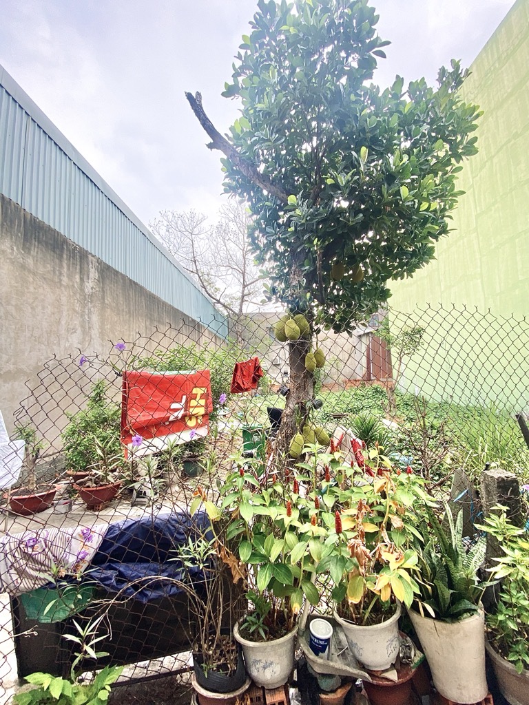 Đất hẻm ô tô rộng gần 5m, pháp lý rõ ràng tại Gò Vấp, giá hấp dẫn chỉ 5.7 tỷ
