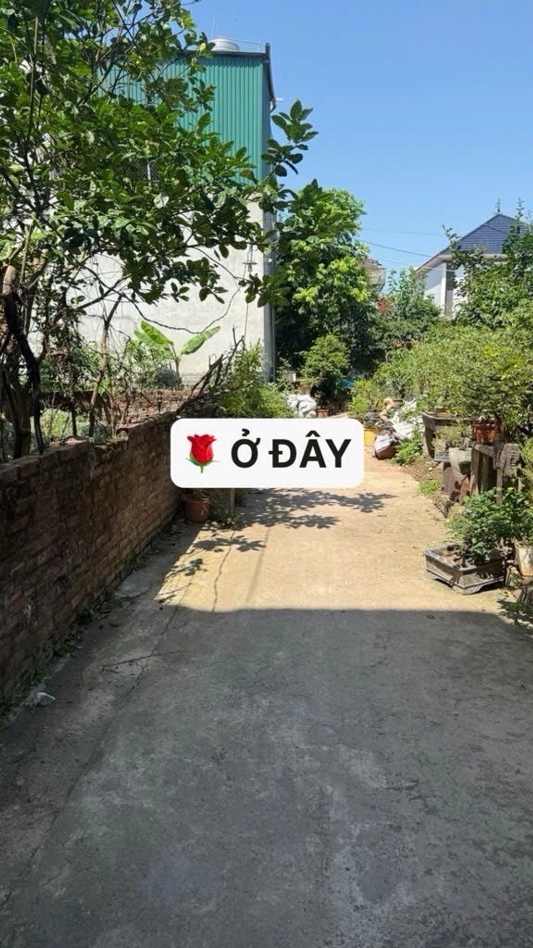 Bán đất văn giang diện tích 50m2