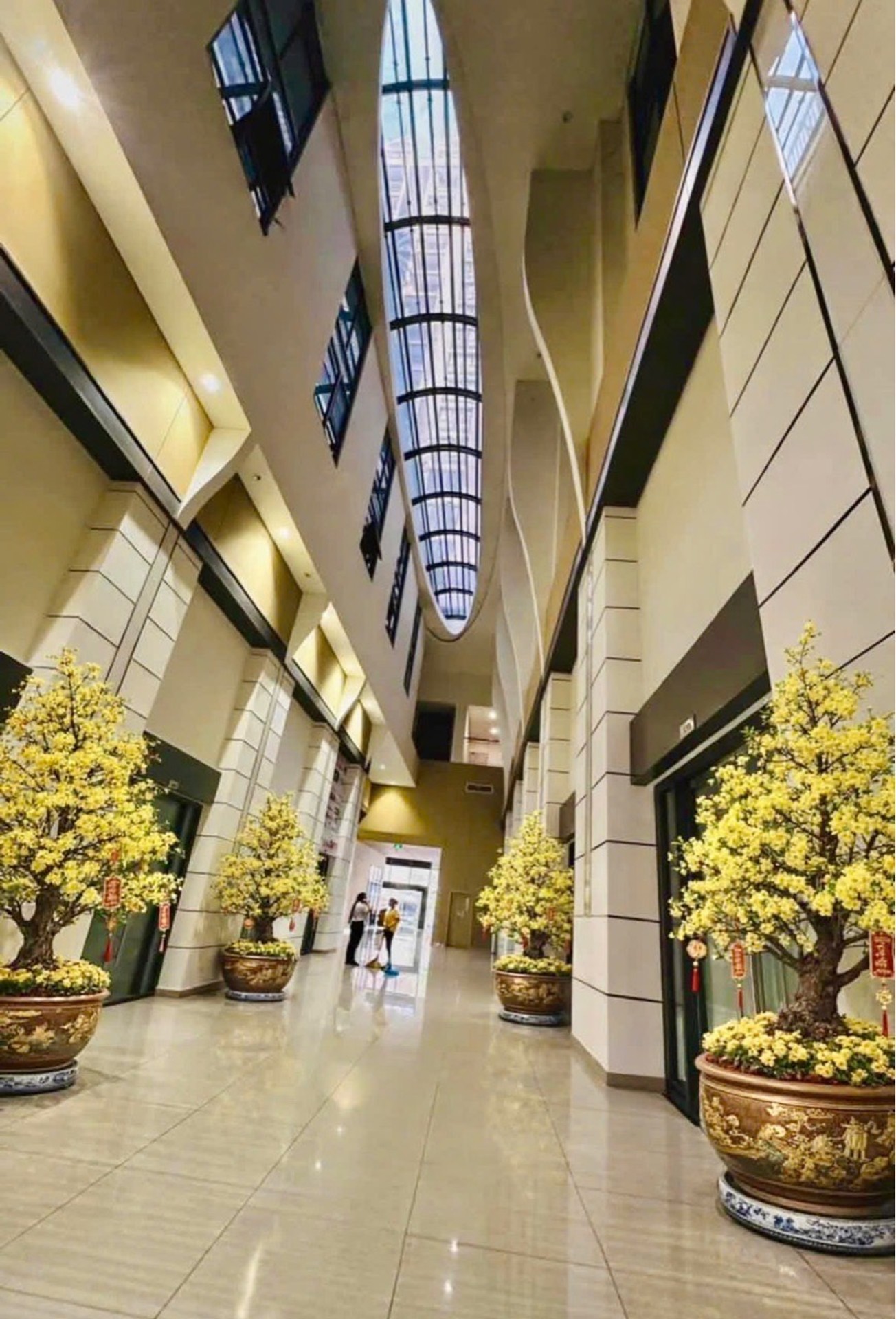 Căn hộ 1 phòng ngủ Q6, 50m2, giá 2.8 tỷ