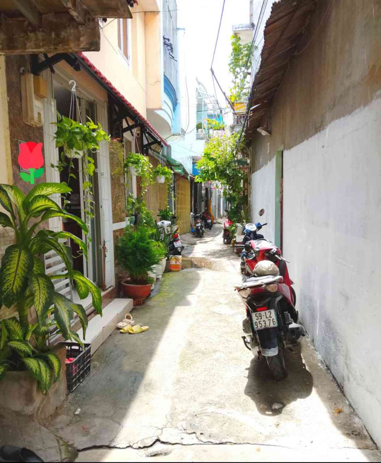 Nhà 3 tầng mặt tiền rộng sát hẻm xe hơi tại Phú Thọ Hòa