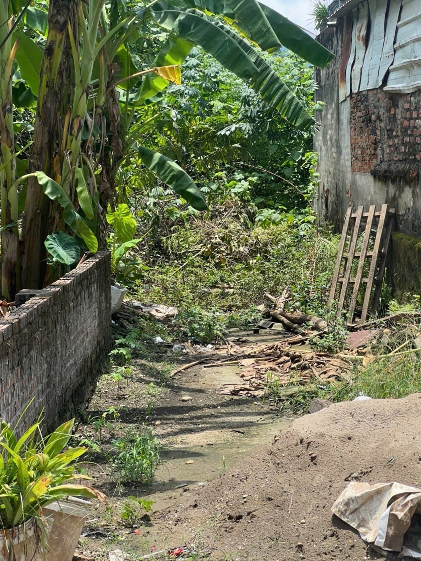 Cơ Hội Sở Hữu Đất Vị Trí Vàng Tại Thôn Yên Giả, Bắc Ninh