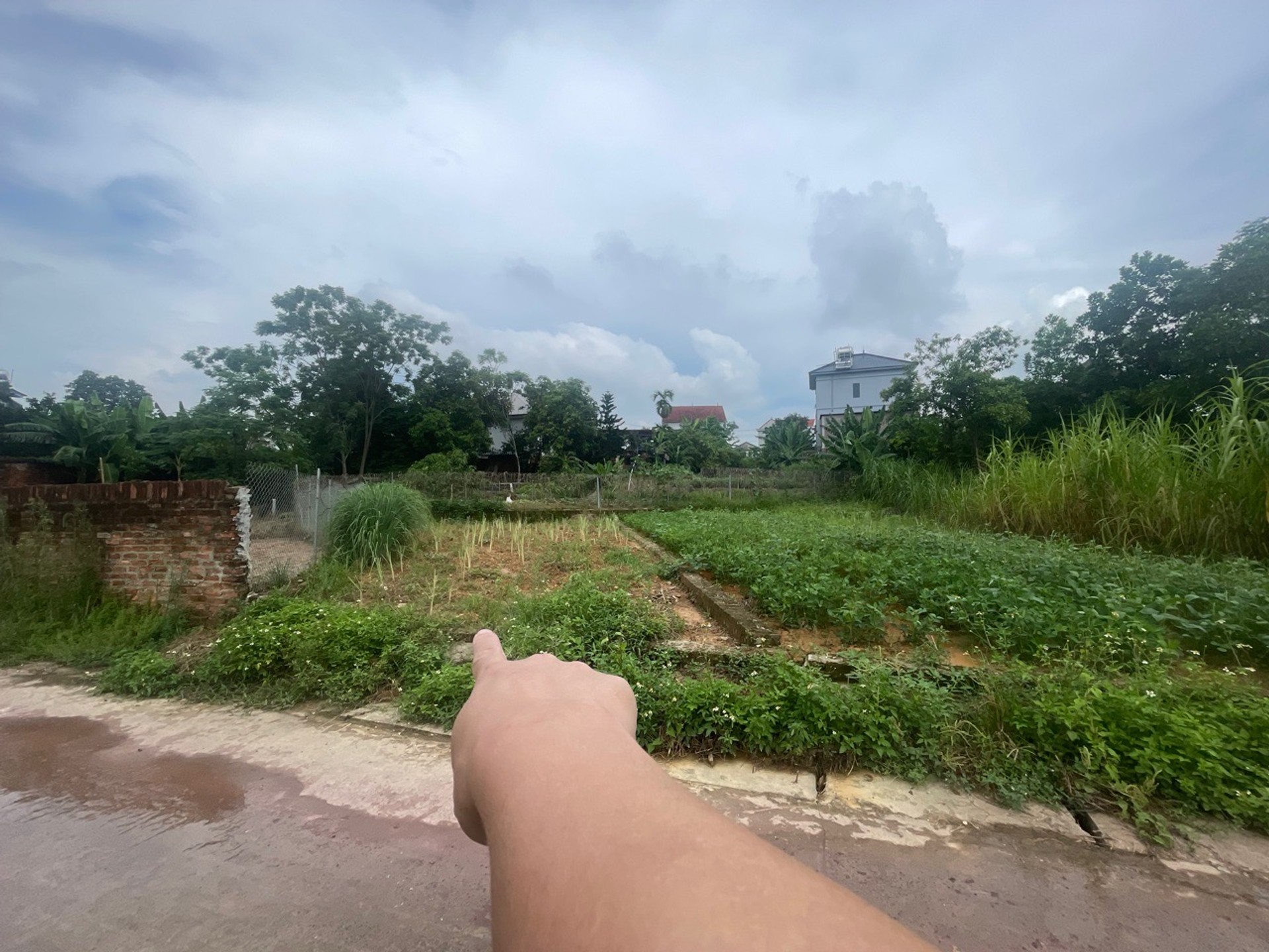 Đất Thổ Cư Đẹp Tại Bắc Sơn Sóc Sơn - Đầu Tư Sinh Lời