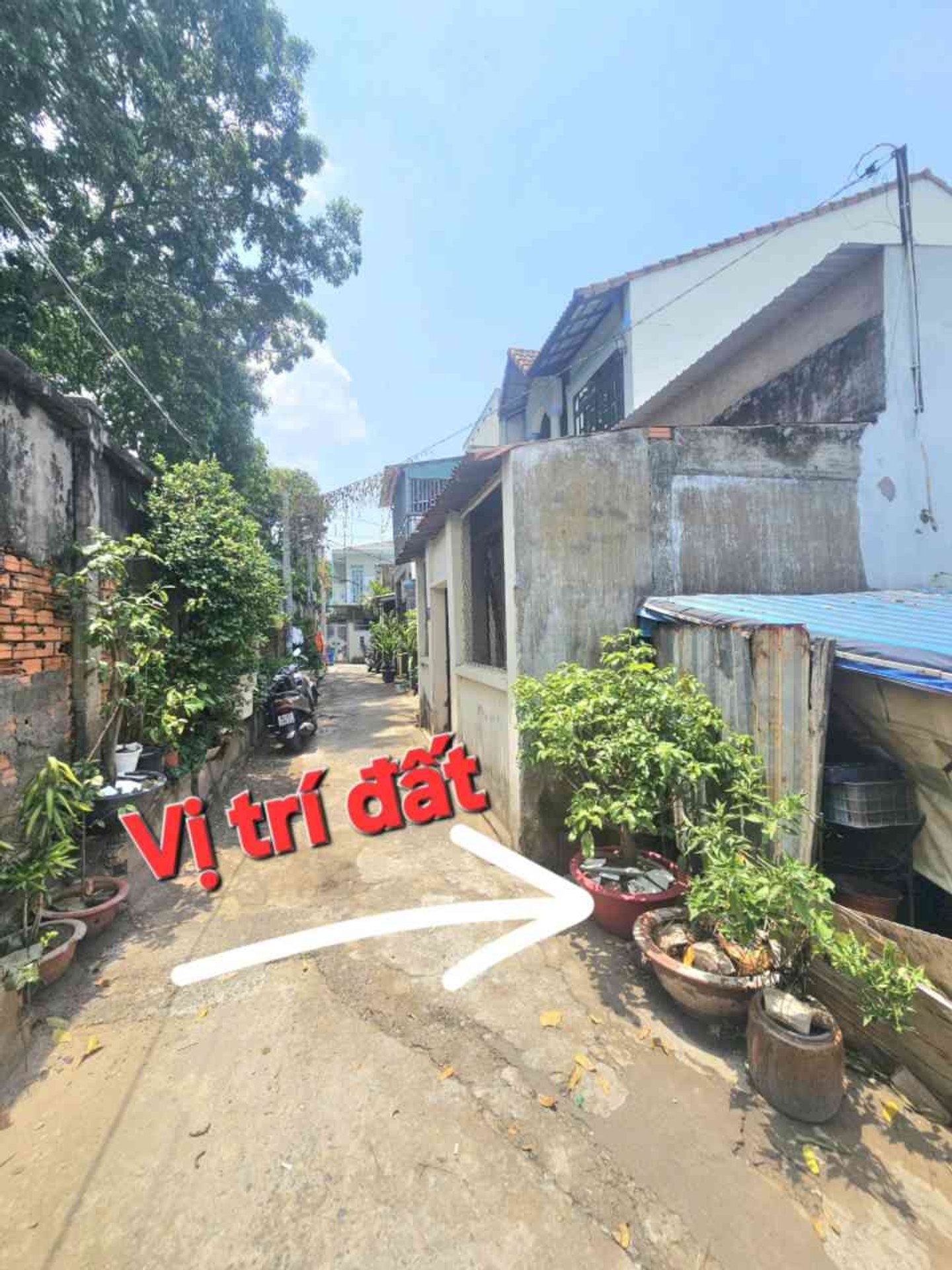 Đất hẻm xe hơi Làng Tăng Phú – Giá tốt giảm ngay 50 triệu