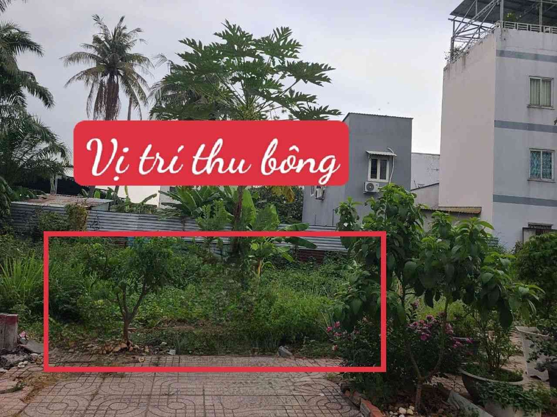 🌻CẦN BÁN GẤP
👉HẺM XE HƠI