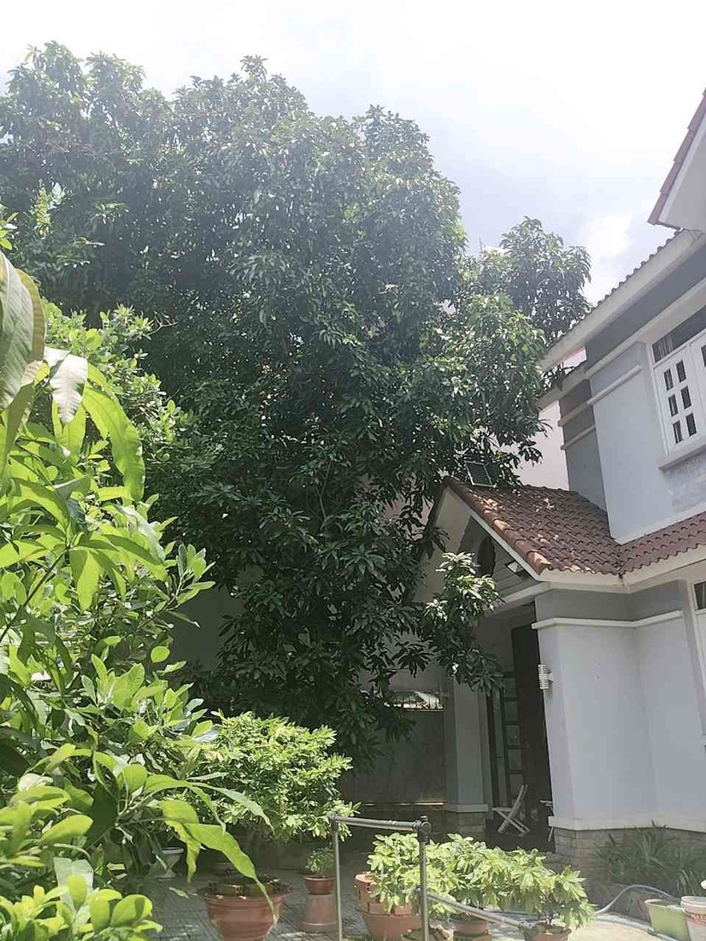 Biệt thự 450m2, hai mặt tiền đẳng cấp tại trung tâm Q2