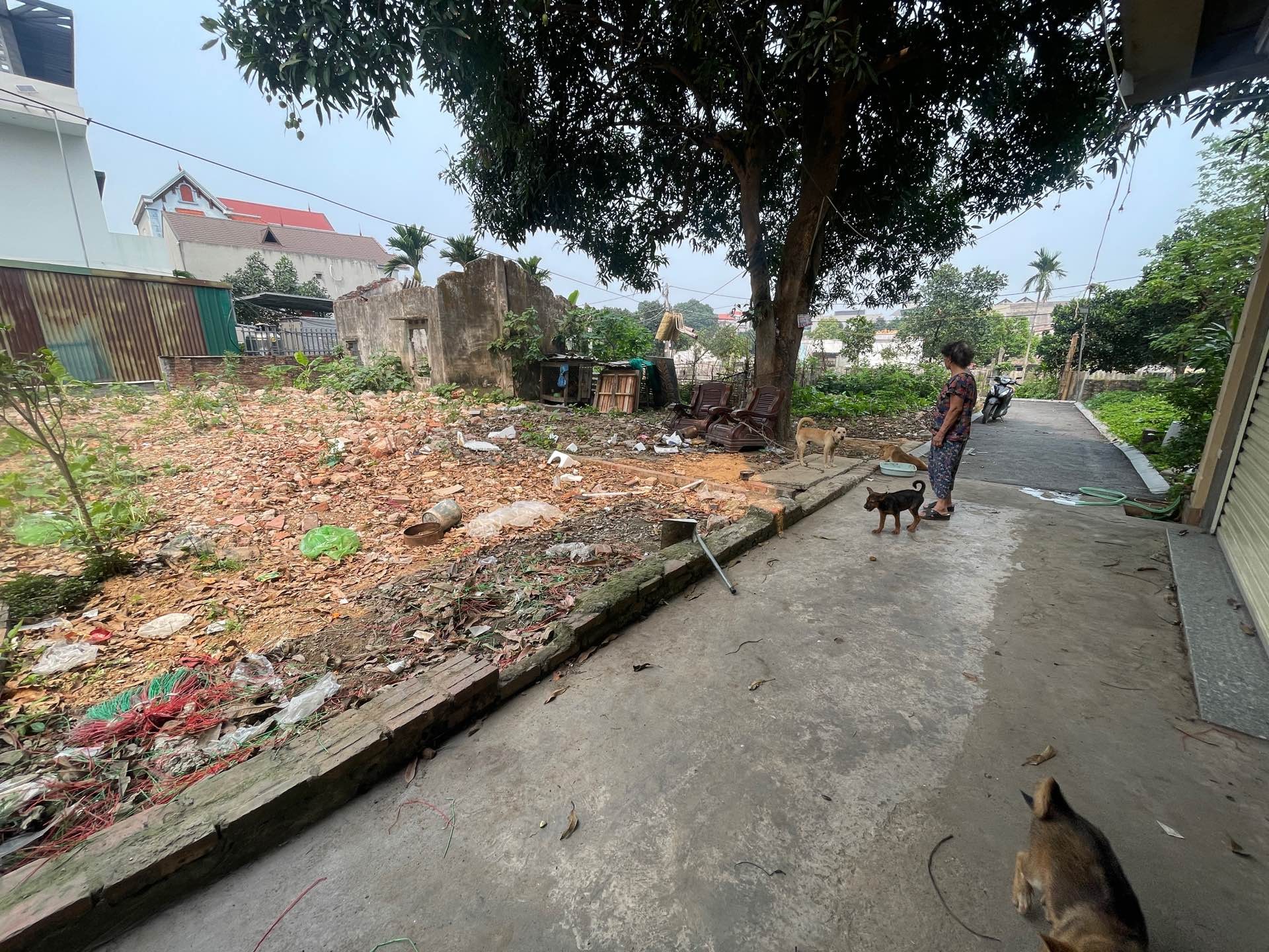 Đất Đông Anh, cách dự án bến xe khách Đông Anh, Quốc Lộ 3: 500m, tài chính 2,85 tỷ