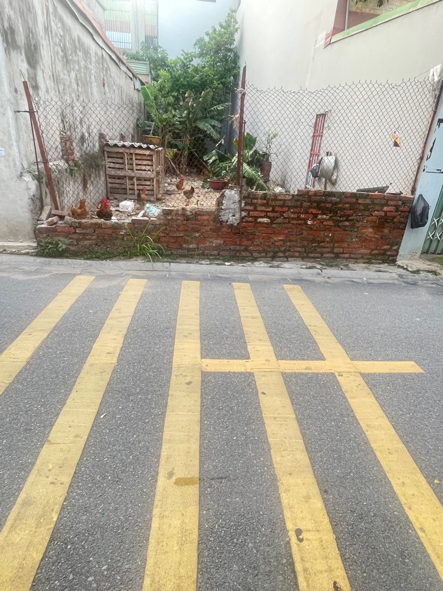 🔥 XUÂN BÁCH – NỘI BÀI | 112,7M² FULL THỔ – MT 4,92M – TRỤC KINH DOANH – 300M KCN NỘI BÀI 🔥