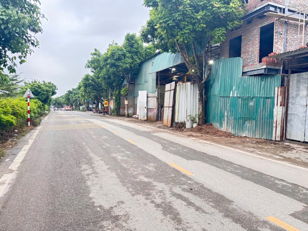 🌺ĐƯỜNG KINH DOANH OTO TRÁNH - ĐÓN ĐẦU DỰ ÁN CON ĐƯỜNG VÀNG ĐAI 1500Tỷ - CÁCH ĐƯỜNG 35 CHỈ 400M🌺
