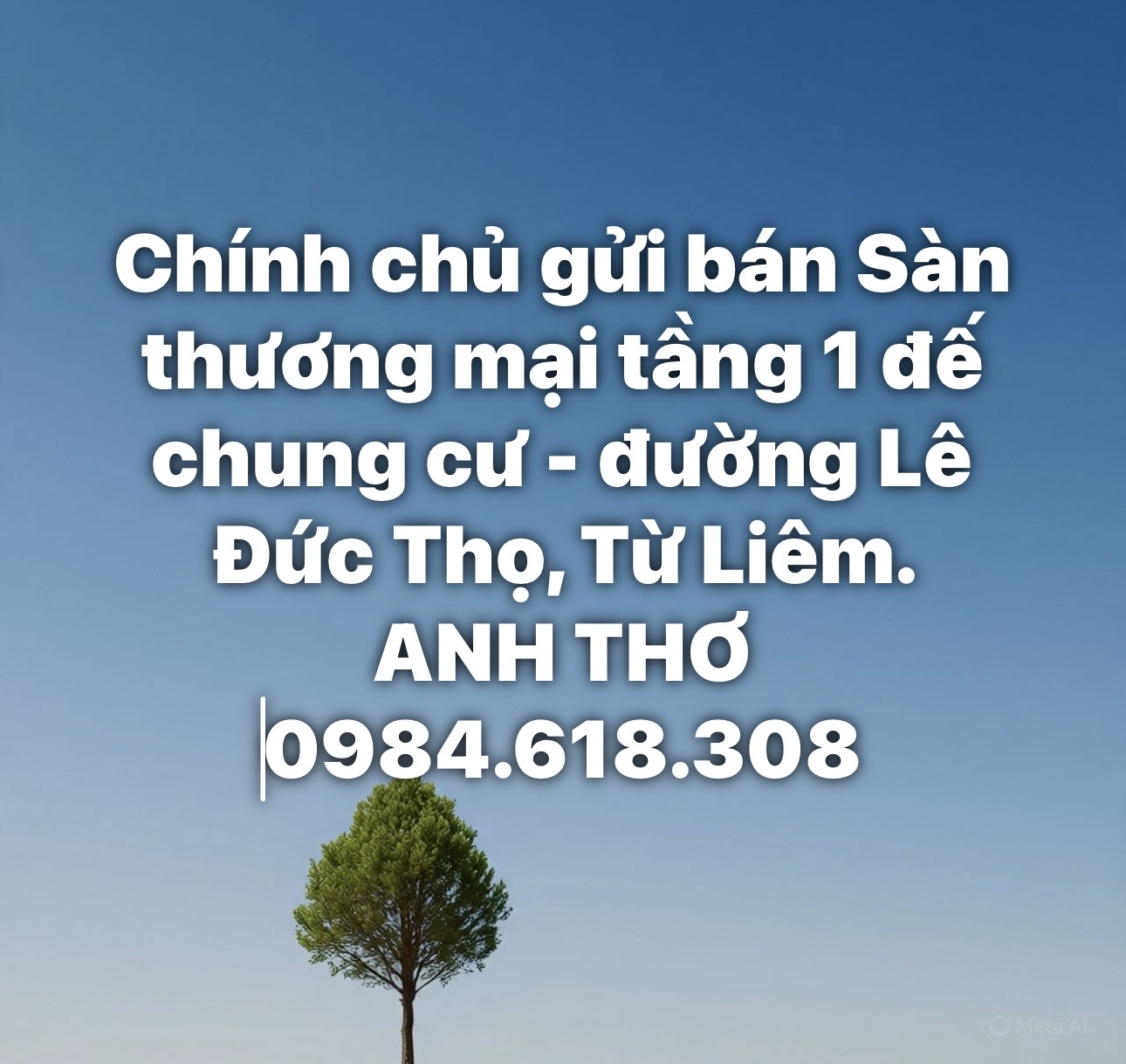 Sàn thương mại Lê Đức Thọ 125m² – vị trí đẹp, đang cho thuê ổn định
