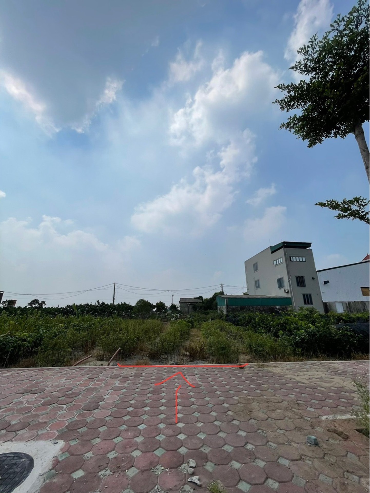 Cơ hội sở hữu đất vàng trung tâm Đông Tảo - Đầu tư sinh lời vượt trội