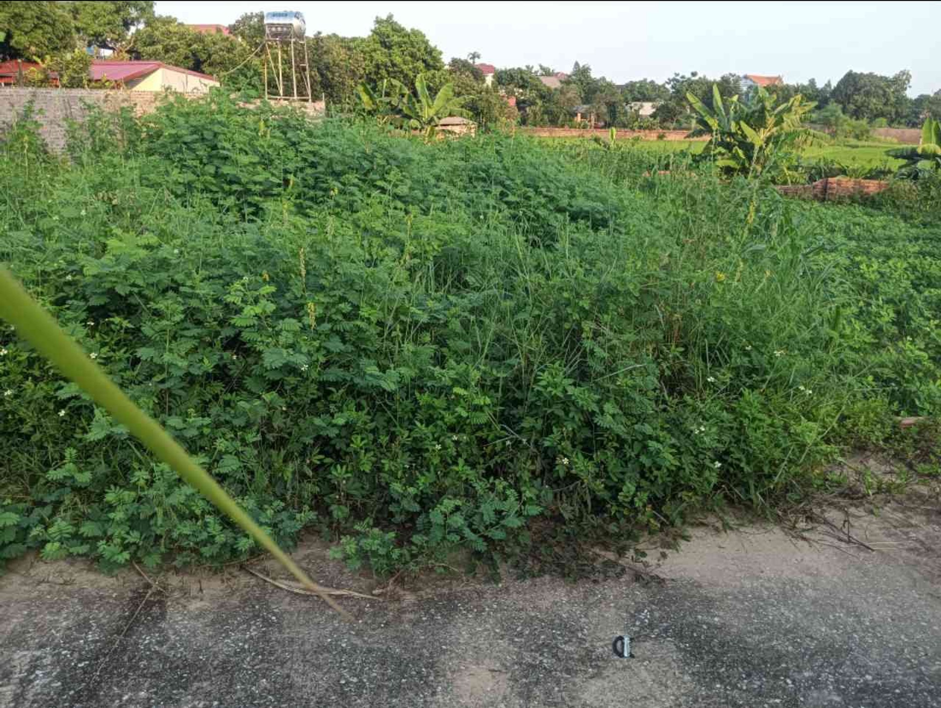 Bán đất 77,3m2 tại xã Vụ Bản, hai mặt đường ô tô ra vào thuận tiện
