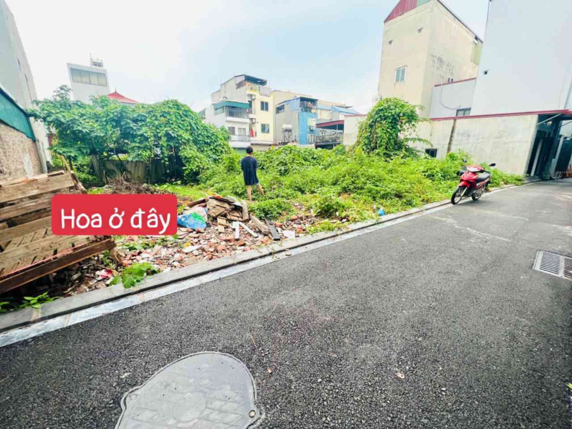 💥💥 LƯƠNG QUY ( XUÂN NỘN) - THƯ LÂM - HÀ NỘI.
👉 Diện tích : gần 70m, full thổ cư, mặt tiền rộng