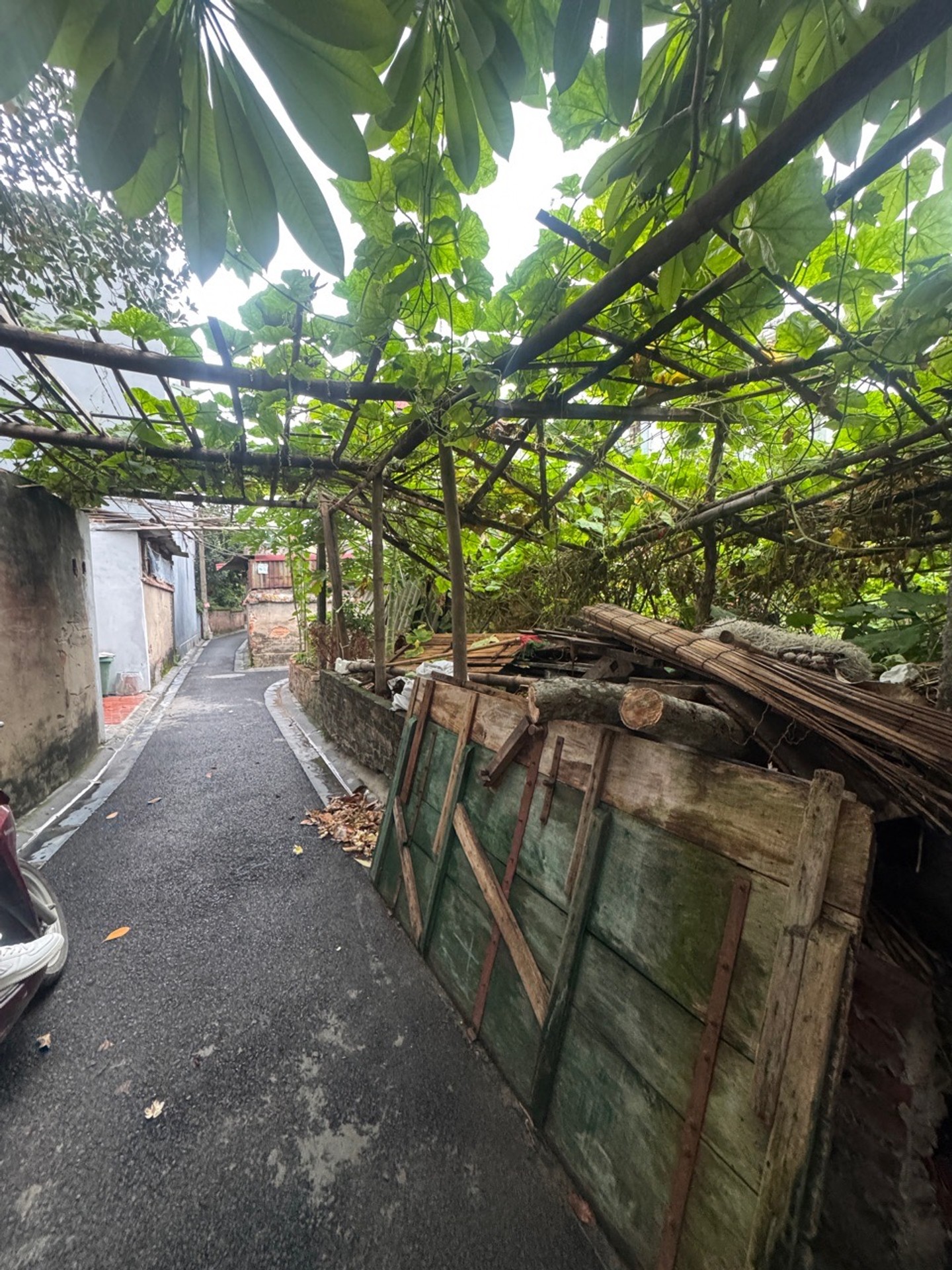 🔥 KHU ĐÔNG( VIỆT HÙNG )– ĐÔNG ANH- HÀ NỘI 🔥
🏡 Diện tích: 98m², full thổ cư, mặt tiền 5,1m
