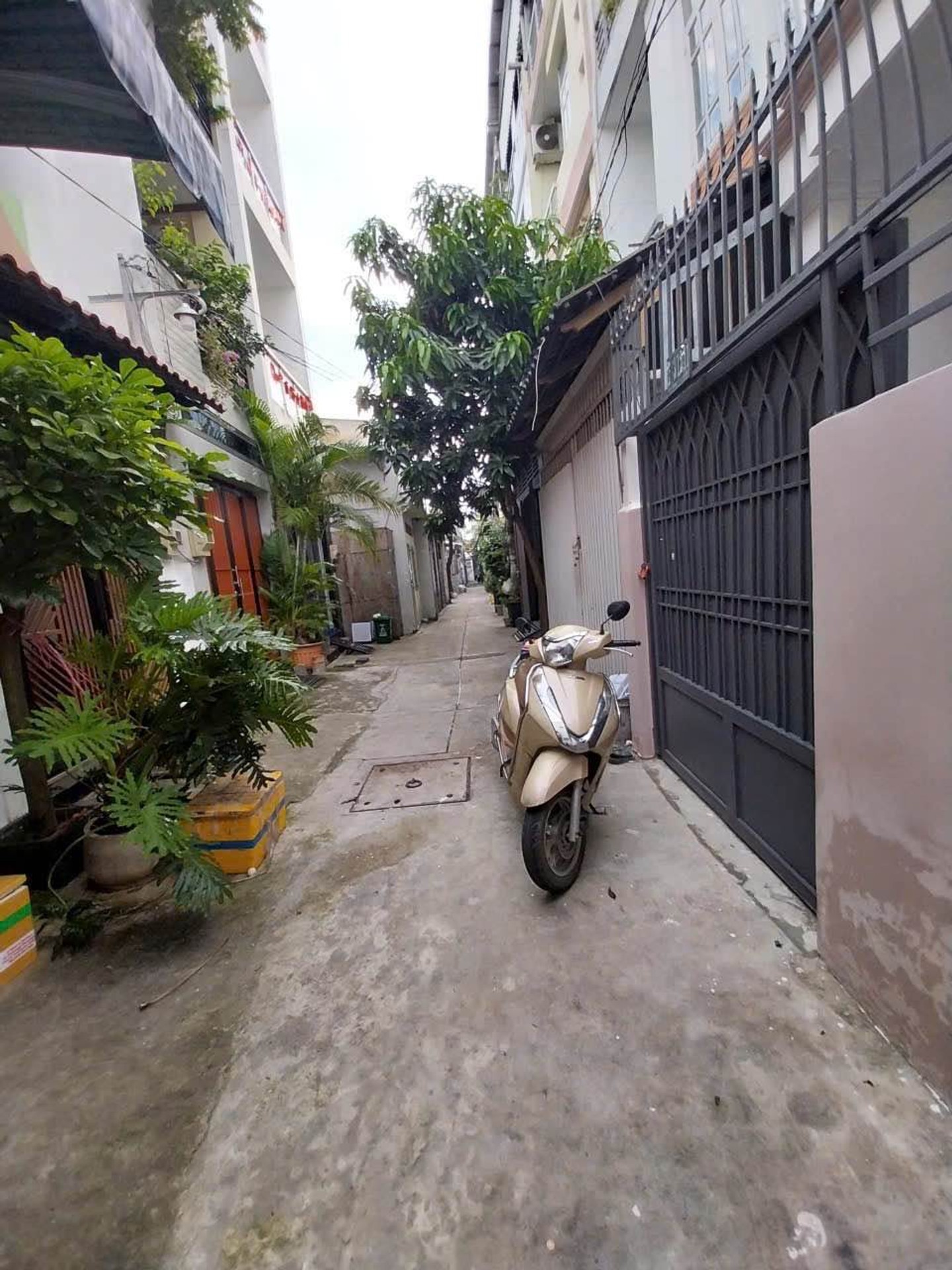 Nhà 2 Tầng Hiện Đại Giữa Trung Tâm Tân Bình, Giá Tốt