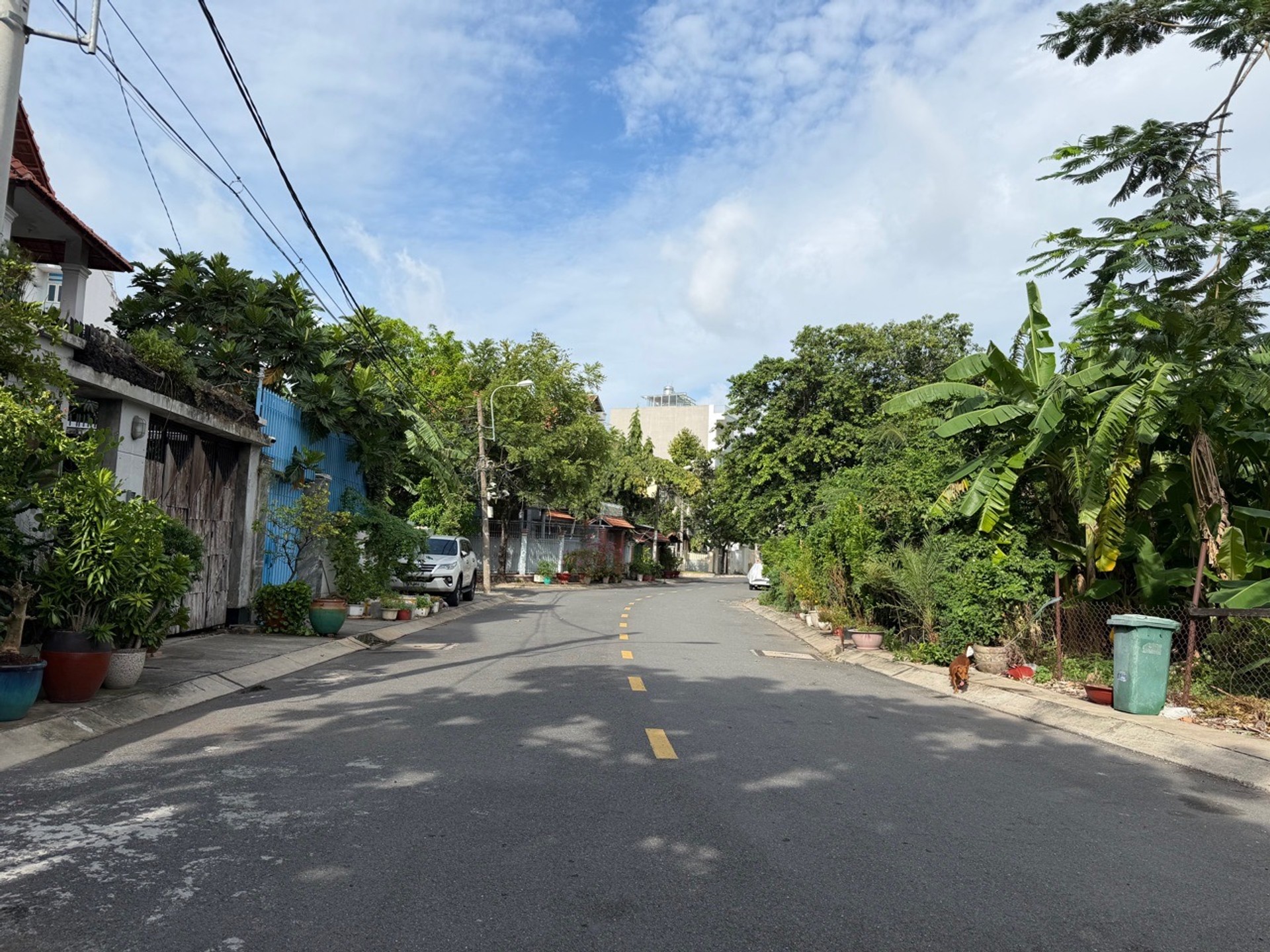 Đất Biệt Thự View Công Viên Gò Vấp – Sở Hữu Vàng, Cơ Hội Vàng