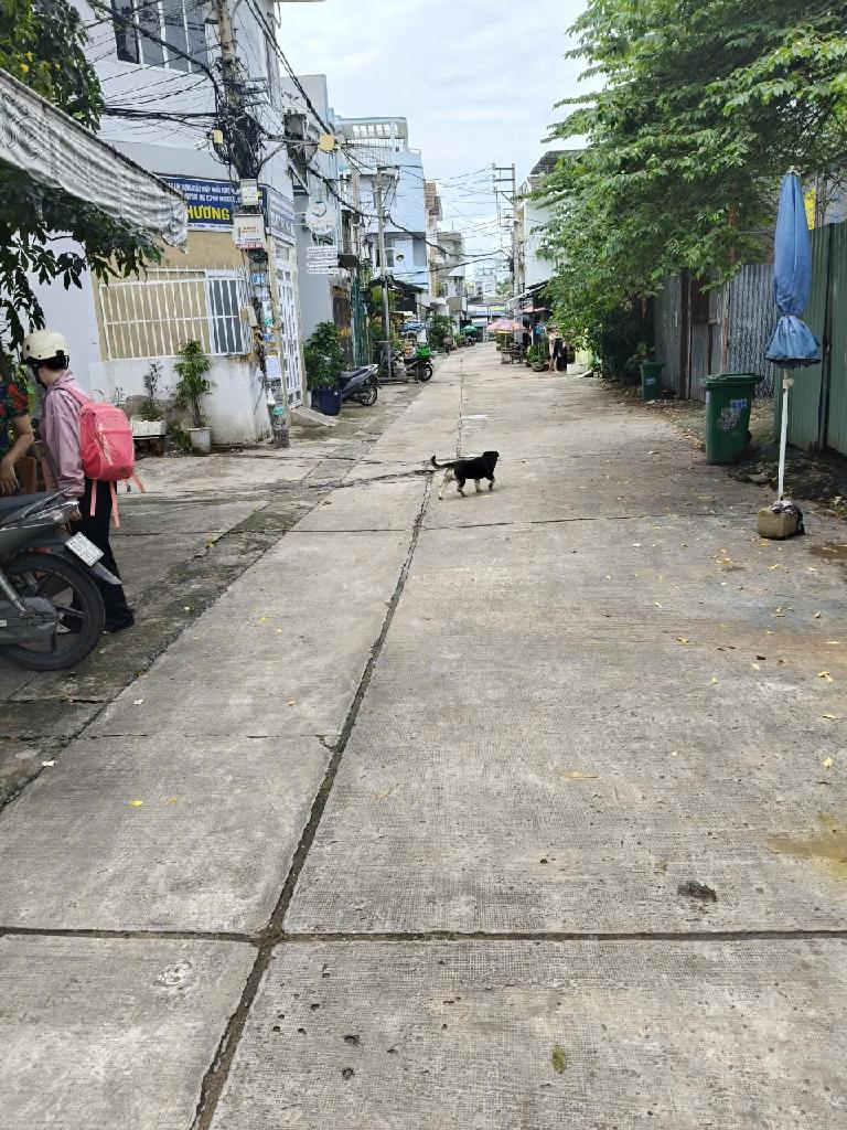 Bán Nhà Đường Trương Phước Phan, Quận Bình Tân 80m2,4 Tầng, Full Nội Thất