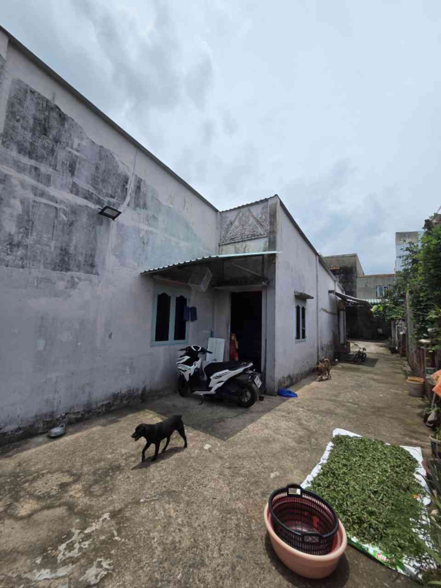 Bán nhà vườn 1 tầng tại xã Liên Khu, diện tích 420m2, pháp lý chuẩn
