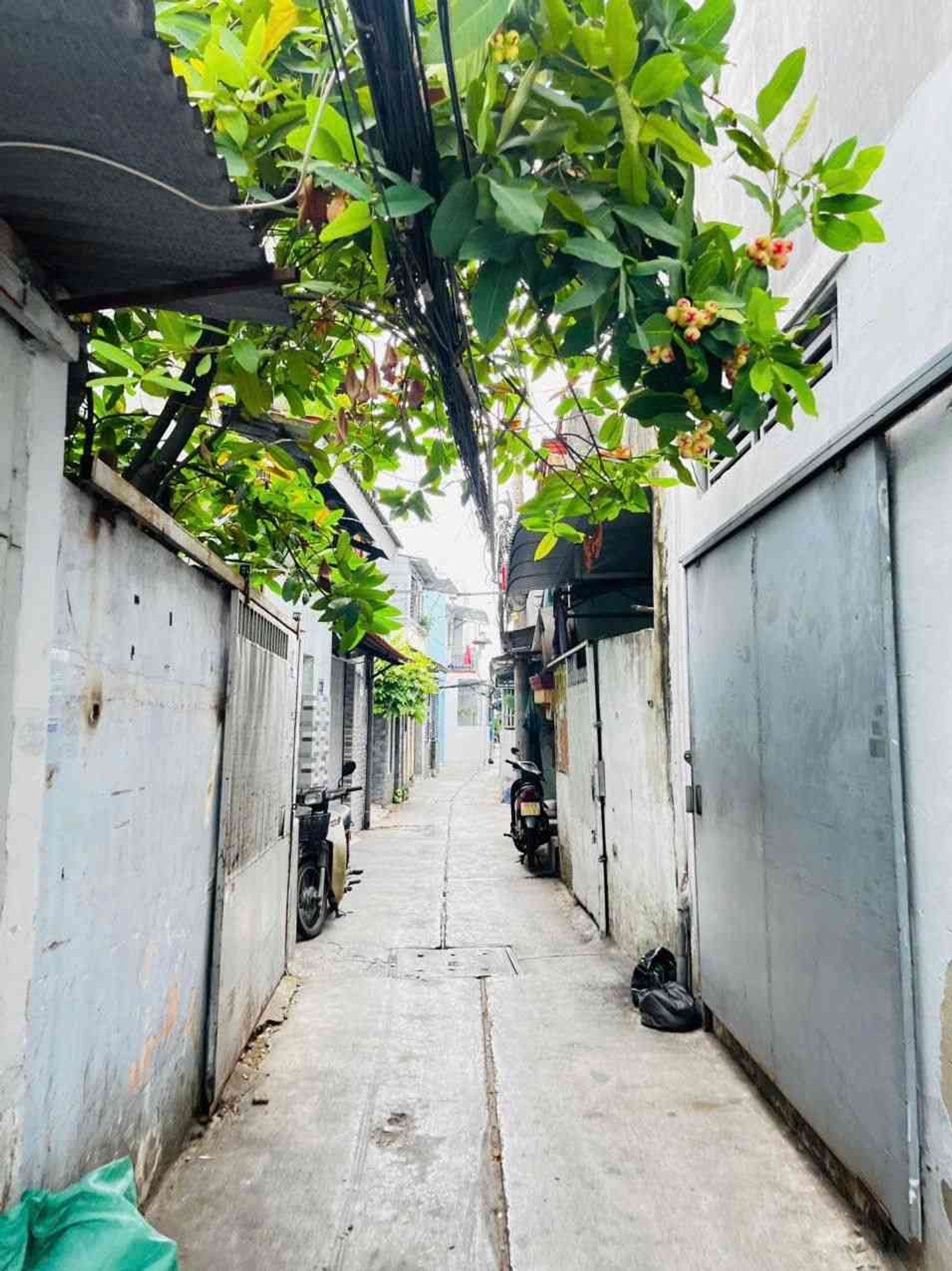 Cơ hội sở hữu nhà 2 tầng mặt tiền rộng Quận 8 giá tốt ngay hôm nay