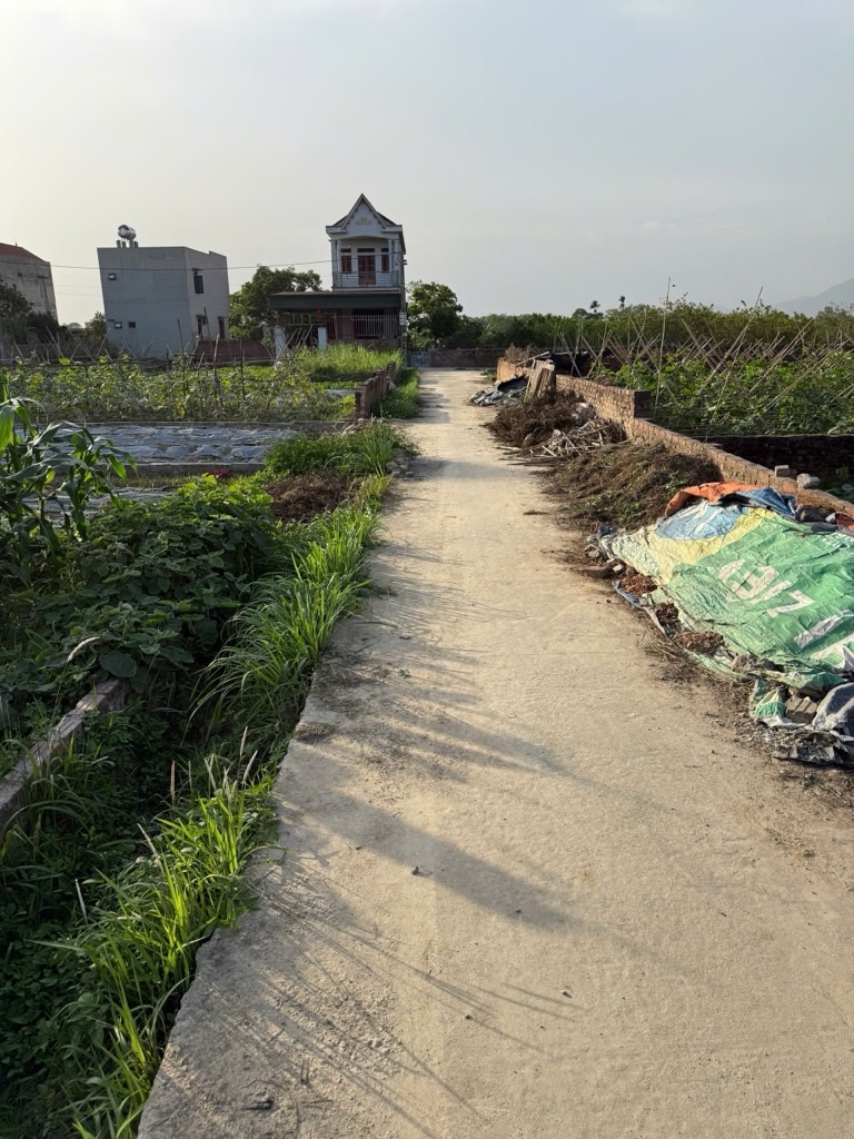 Đất đẹp thôn Bắc Thượng, Sóc Sơn giá tốt