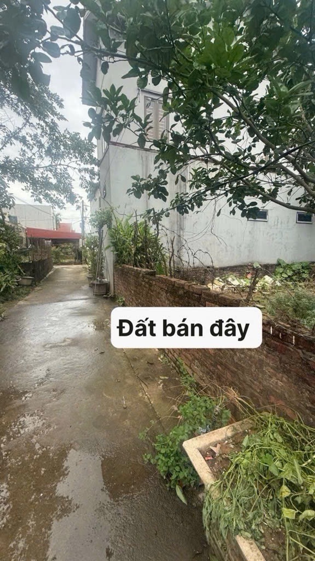 Bán đất 50m² tại trung tâm thị trấn Văn Giang, gần Ecopark,