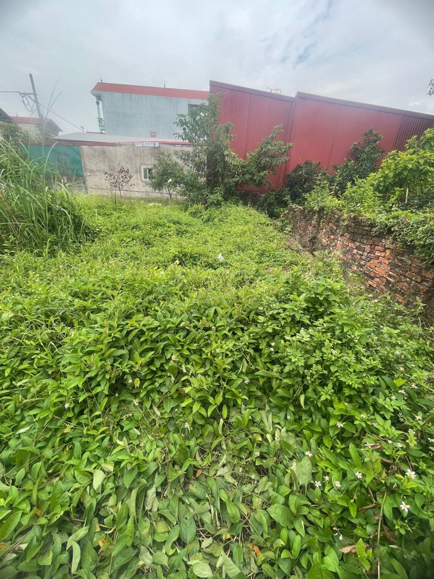 Bán đất thổ cư 51m² ngõ ô tô xã Quang Minh Mê Linh