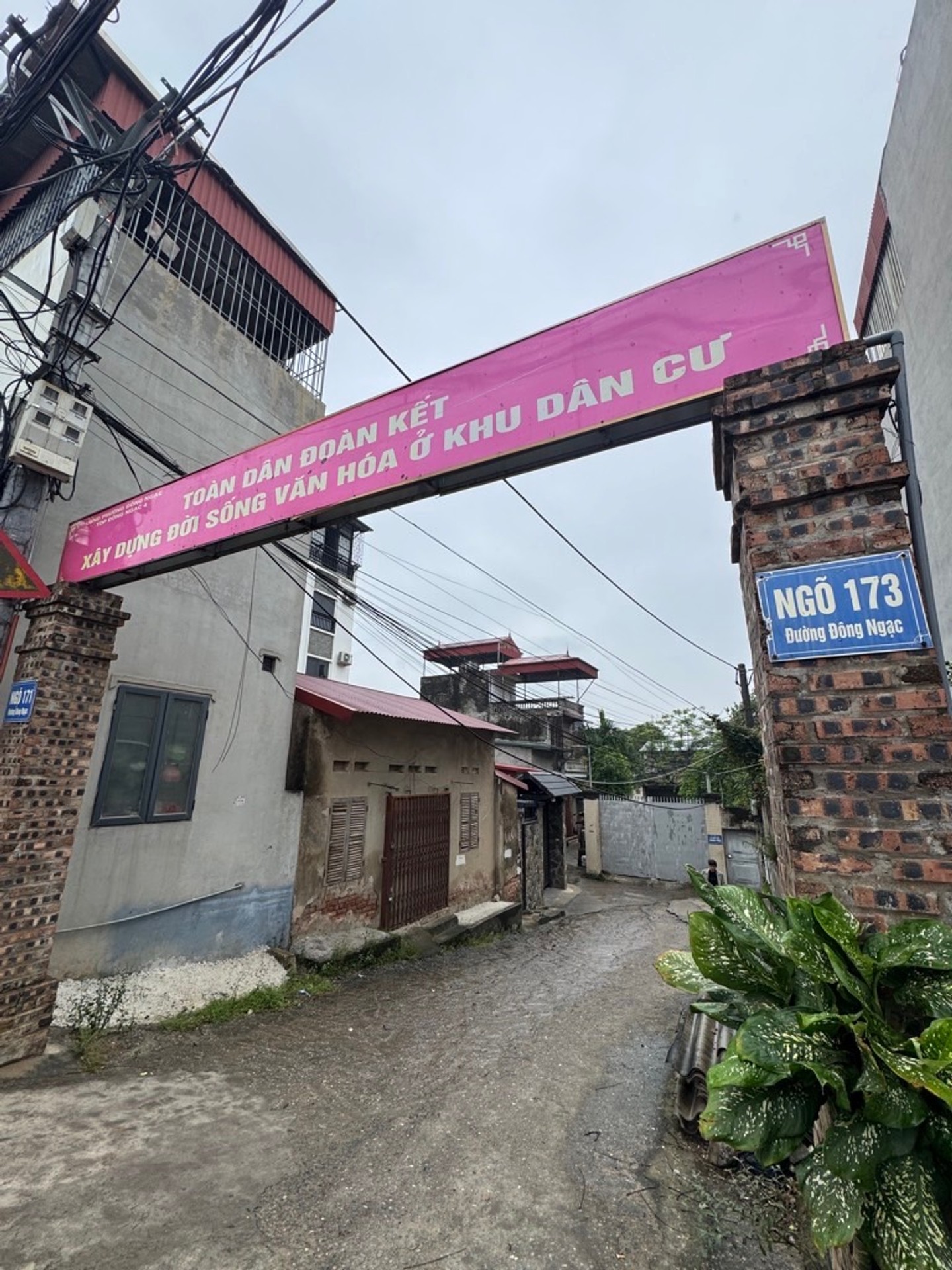 Nhà đông ngạc dân xây