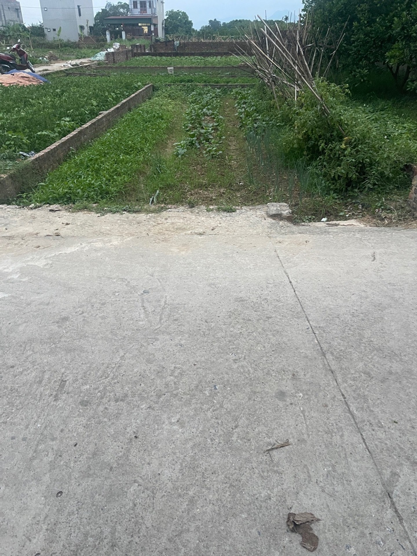 Đất Bắc Thượng giá hợp lý, tiện ích đầy đủ