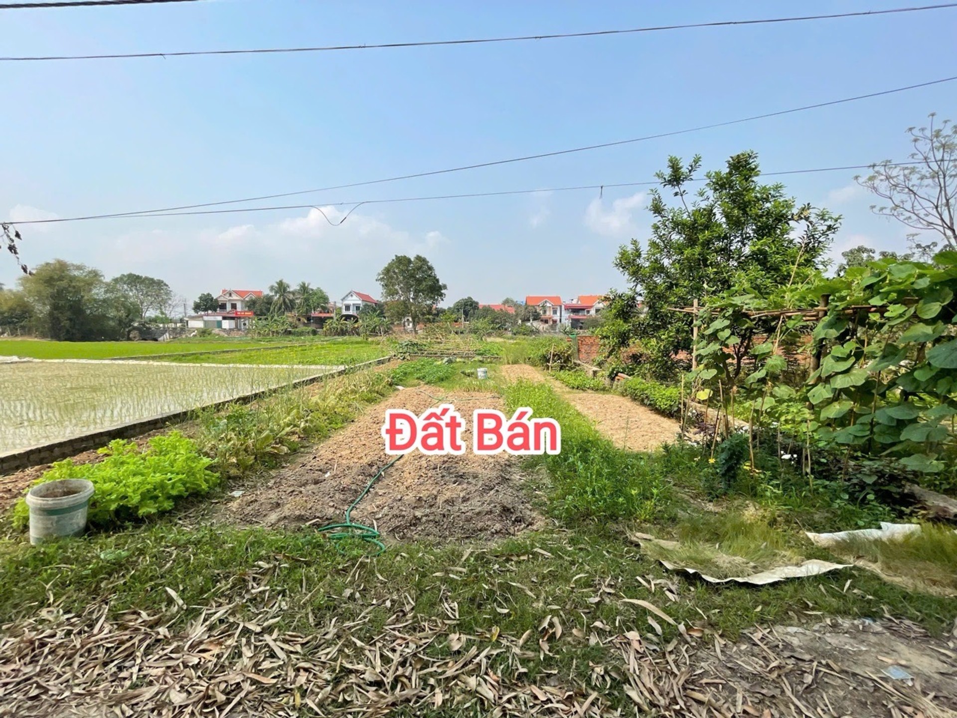 Bán đất lô góc tại Đồng Lạc, Sóc Sơn, mặt tiền rộng, tiện đường ô tô