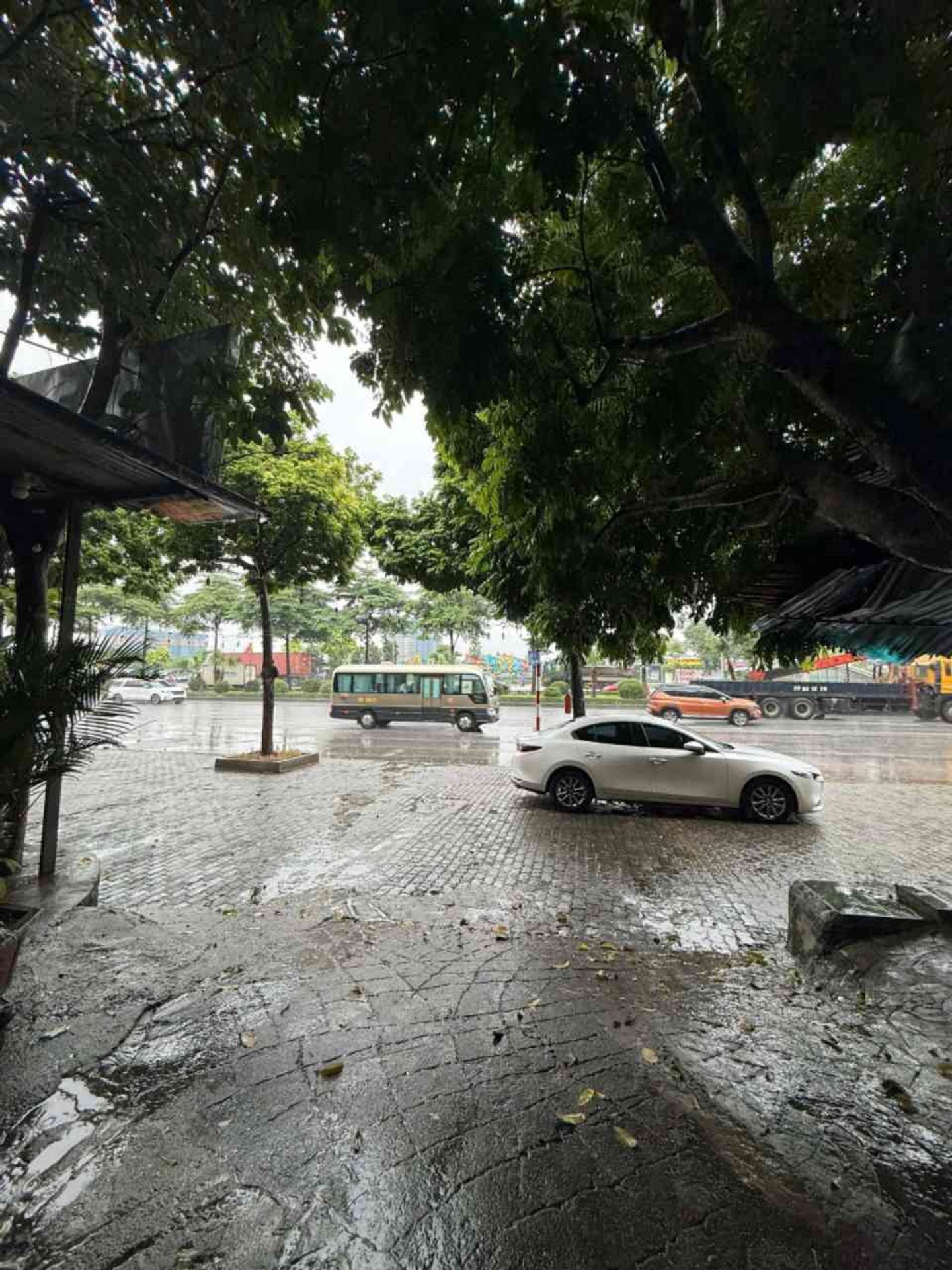 Nhà đẹp, thang máy, 5 tầng tiện nghi ngay Lý Sơn