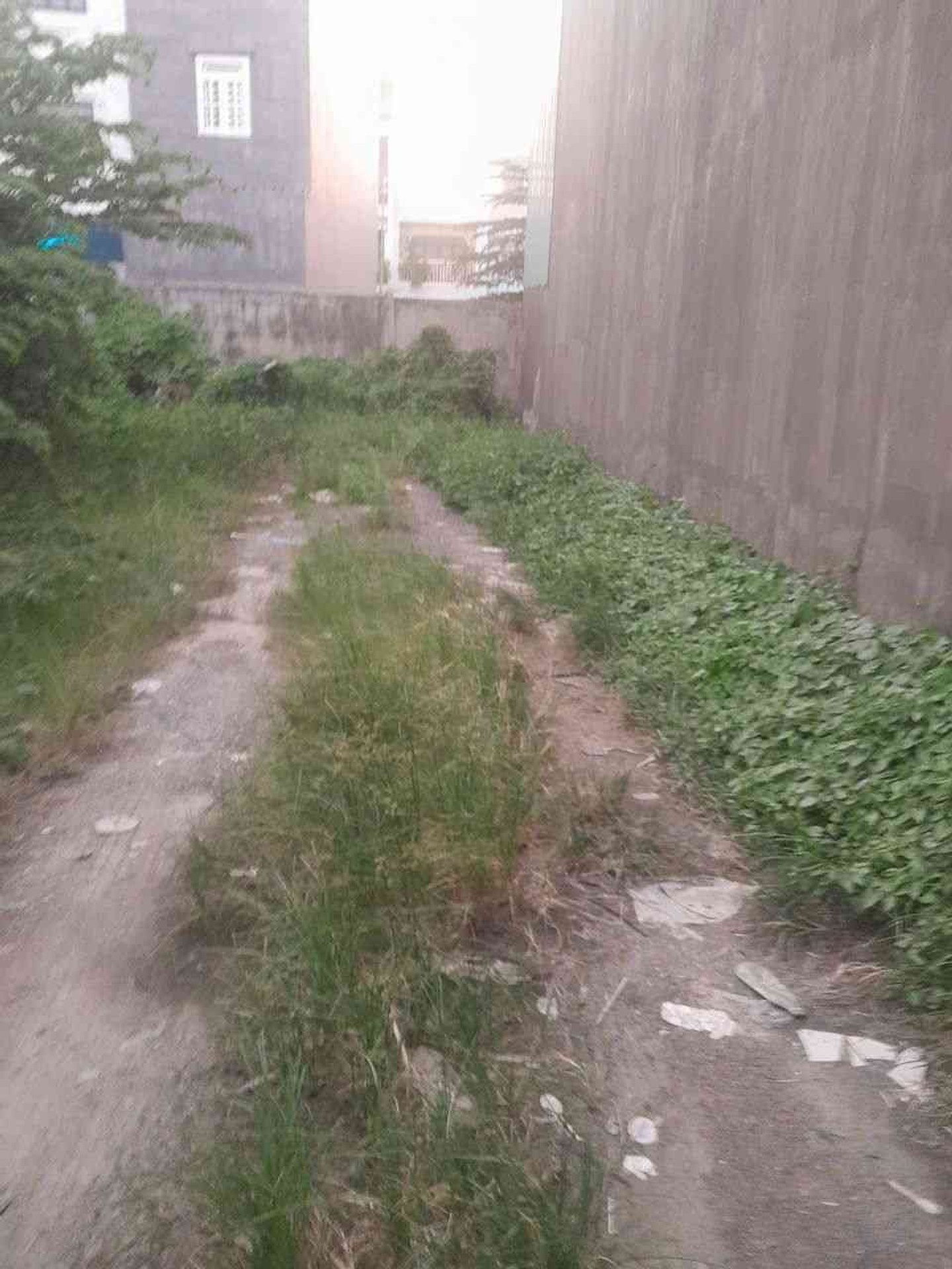 Cơ hội sở hữu đất vàng Tây Lân Bình Tân, vị trí đỉnh, giá tốt