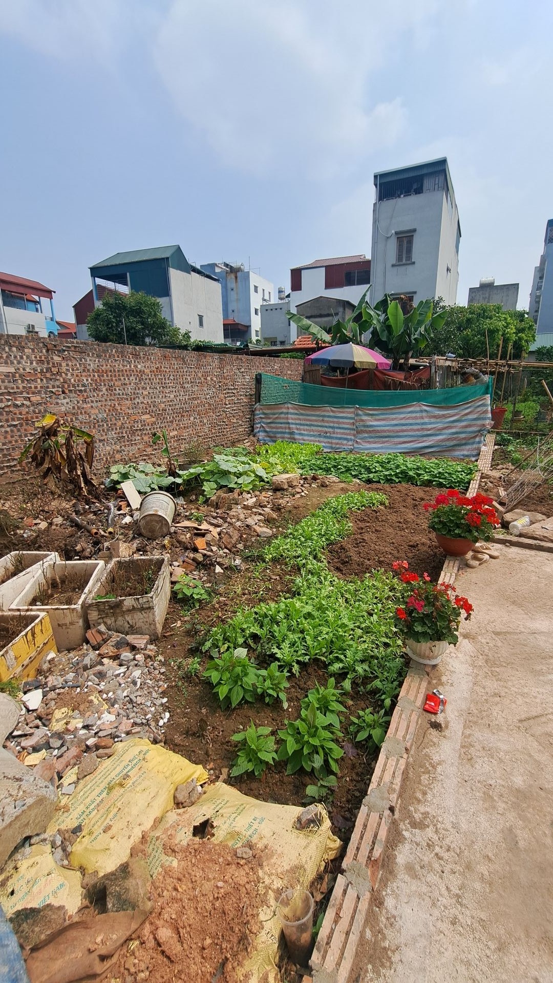 Cơ hội hiếm có: Đất thổ cư Phúc Lợi mặt tiền rộng, đầu tư sinh lời ngay