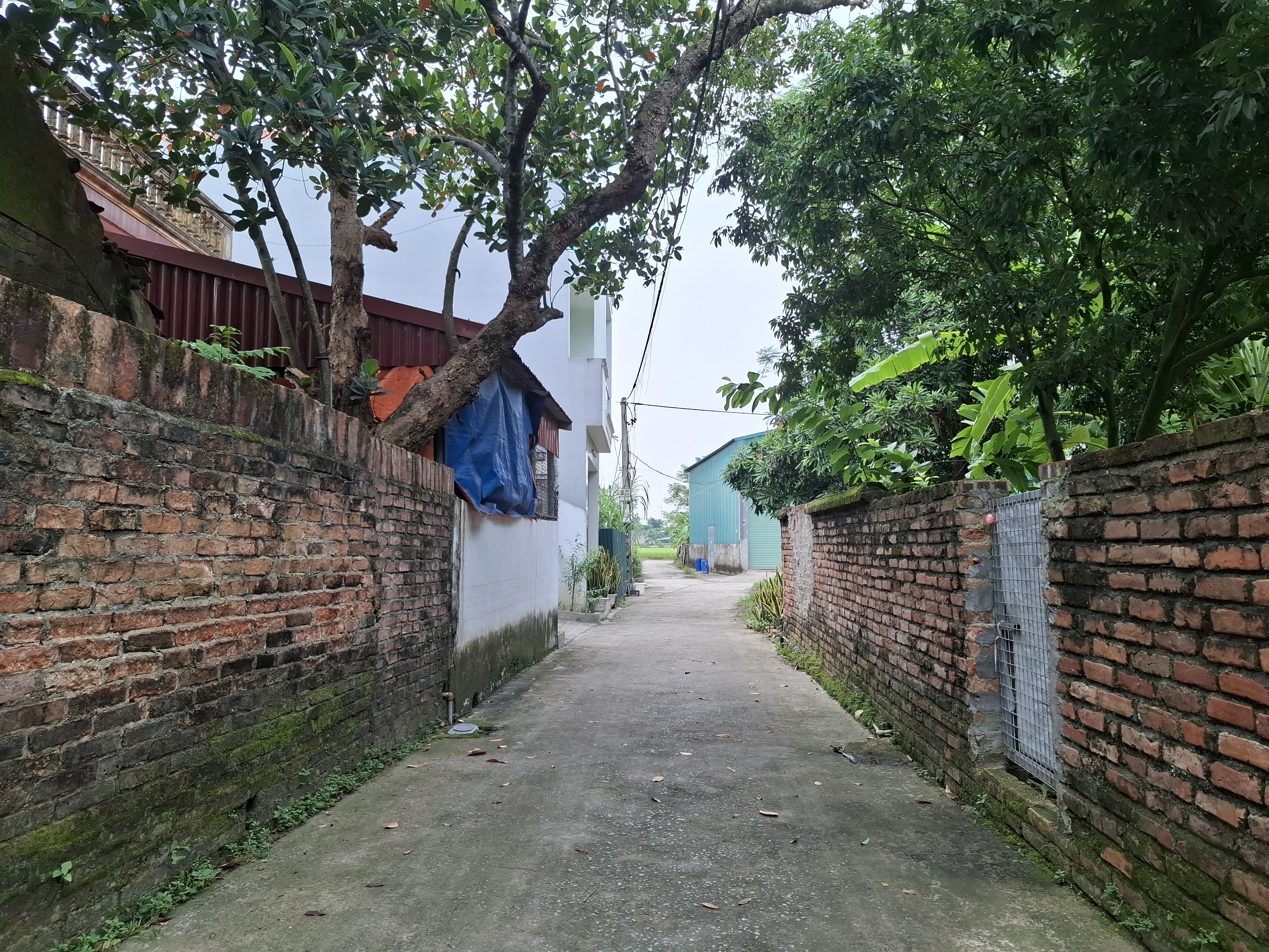 Bán đất Nội Bài - Sóc Sơn . 80m² FULL thổ cư . Ô tô vào tận đất