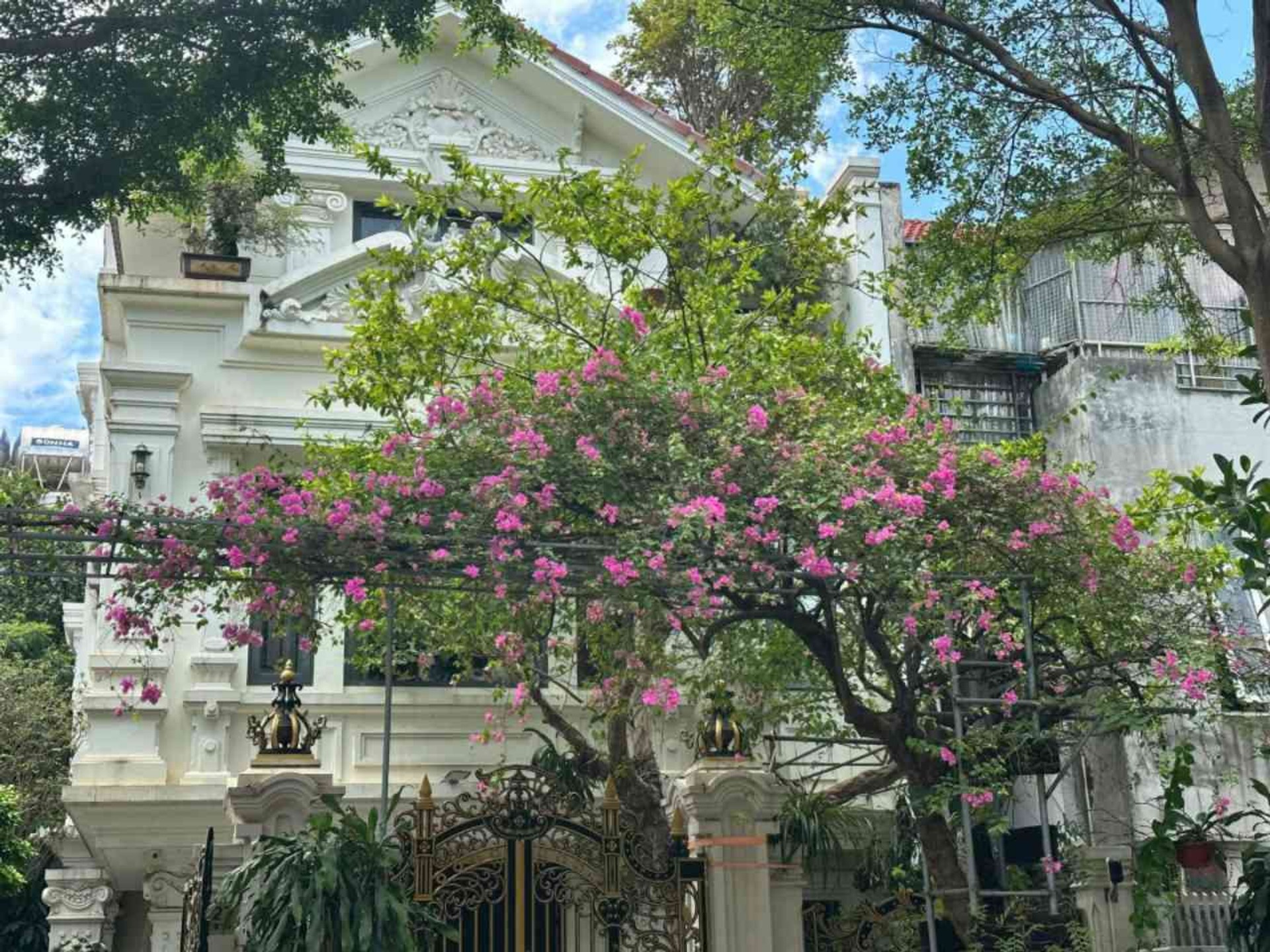 Biệt Thự Đơn Lập Hiếm Có Tại Khu Đô Thị Văn Phú – Đỉnh Cao Giá Trị Sống 201/203m2