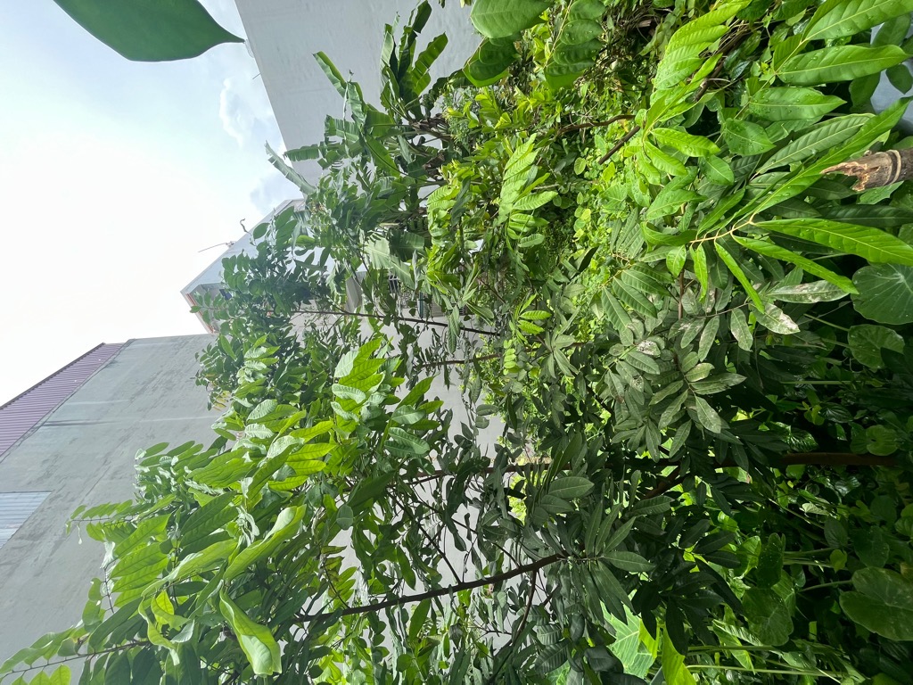 Bán đất mặt tiền 7m tại Đông Dư, diện tích 154m2, vị trí kinh doanh đông dân, ô tô tránh