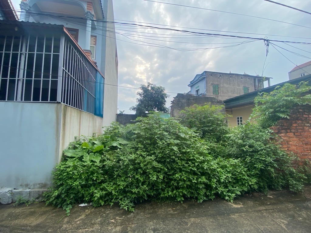 🔥 ĐẤT ĐẸP LƯƠNG NỖ – NGÕ Ô TÔ – SÁT VÀNH ĐAI 3 – TIỀM NĂNG TĂNG GIÁ CAO