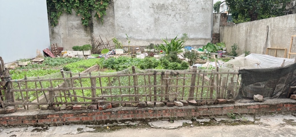 Bán đất 46,6m² tại tổ 25 Đông Anh, giá ưu đãi giảm 890 triệu