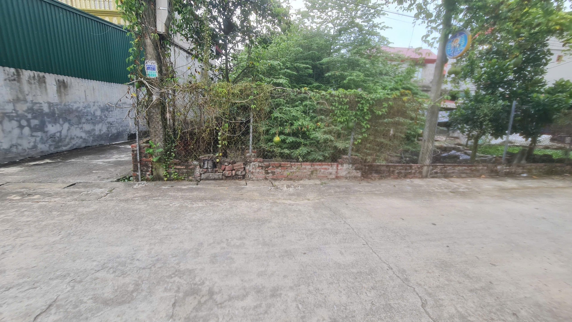 Bán đất lô góc mặt ngõ ô tô tại phường Ninh Xá, Bắc Ninh, 67.5 m²