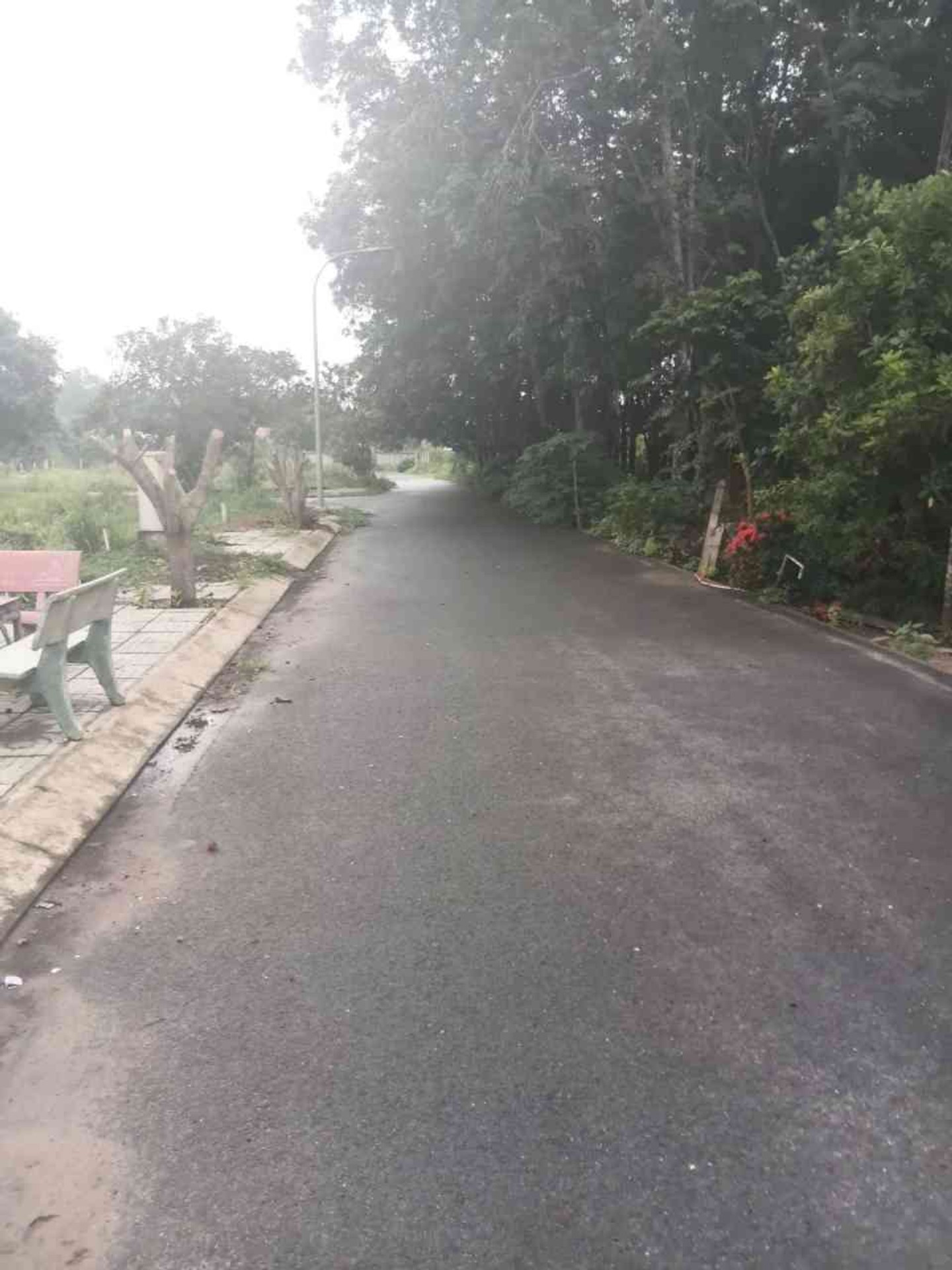 🔥 BÁN ĐẤT KHU PHÂN LÔ – 100M2 – ĐƯỜNG NHỰA 15M – GẦN TỈNH LỘ 15