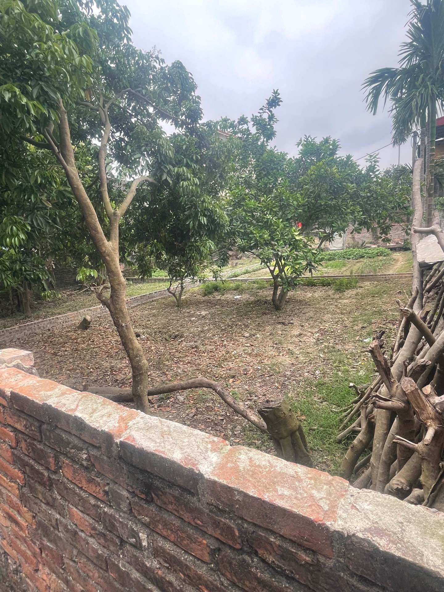 Bán đất gần đường VÕ NGUYÊN GIÁP . QL2 . SÂN BAY QT NỘI BÀI