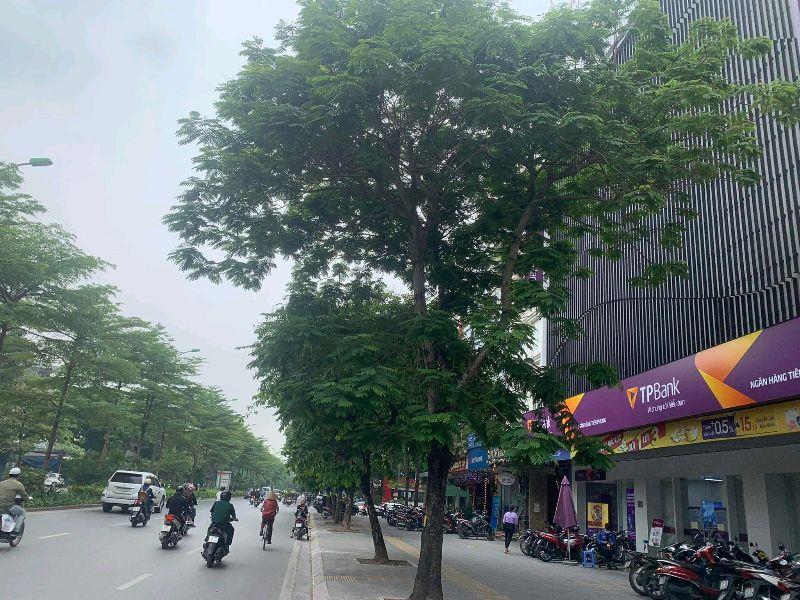 Bán nhà mặt phố Nguyễn Khánh Toàn, quận Cầu Giấy 275m2, 2 mặt tiền, cho thuê 6 tỷ/năm