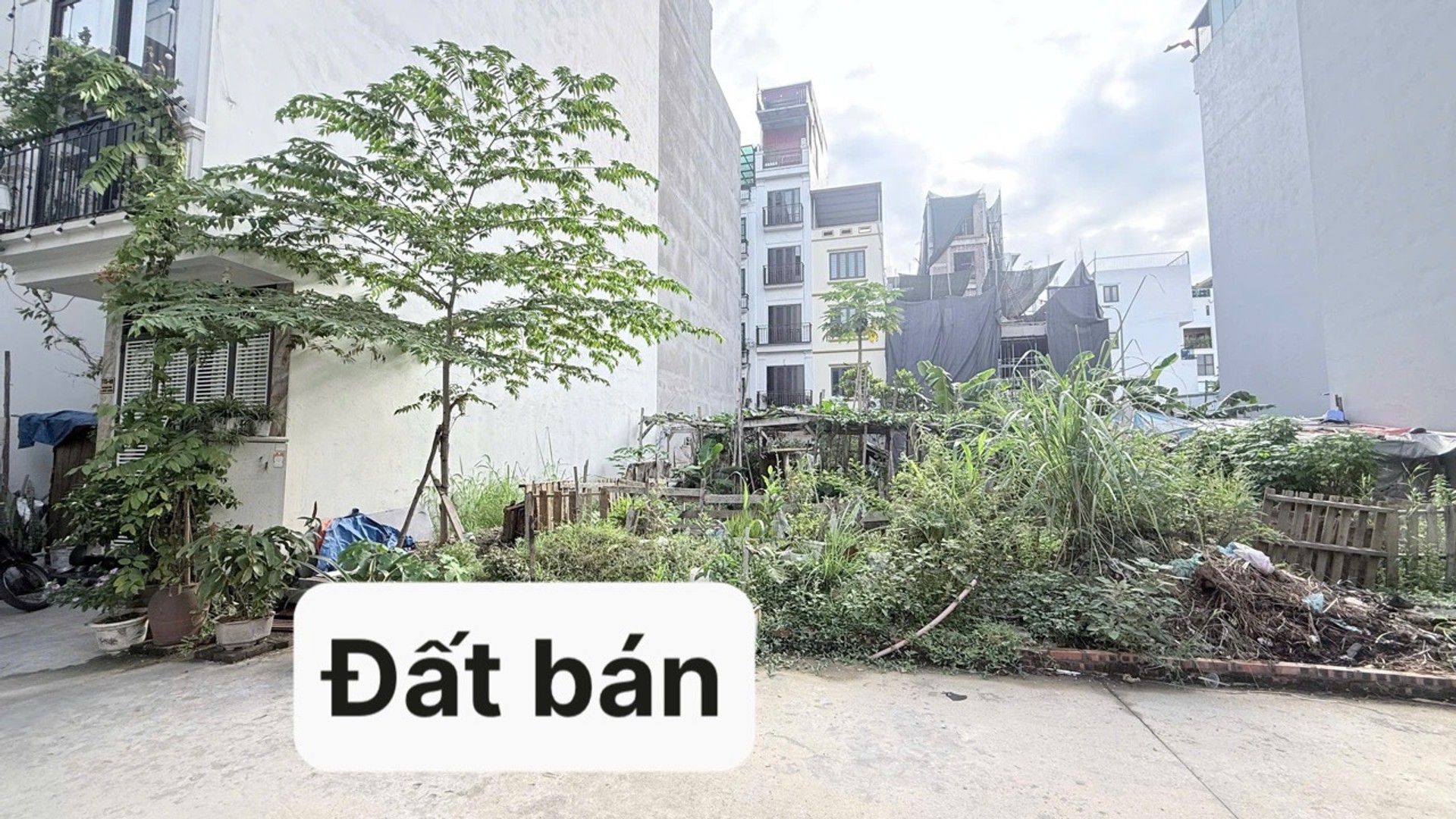 Bán đất 50m2 khu tái định cư Ngọc Thụy giá tốt