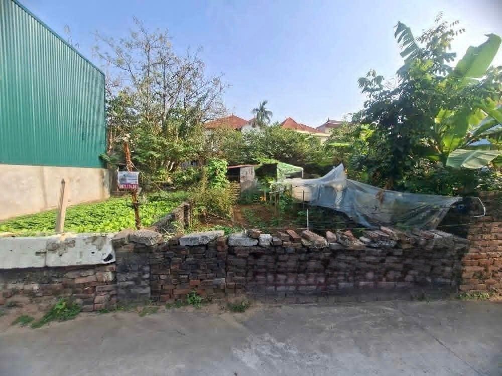 Nhà 1 tầng mặt tiền rộng, ô tô nhỏ vào được ngay