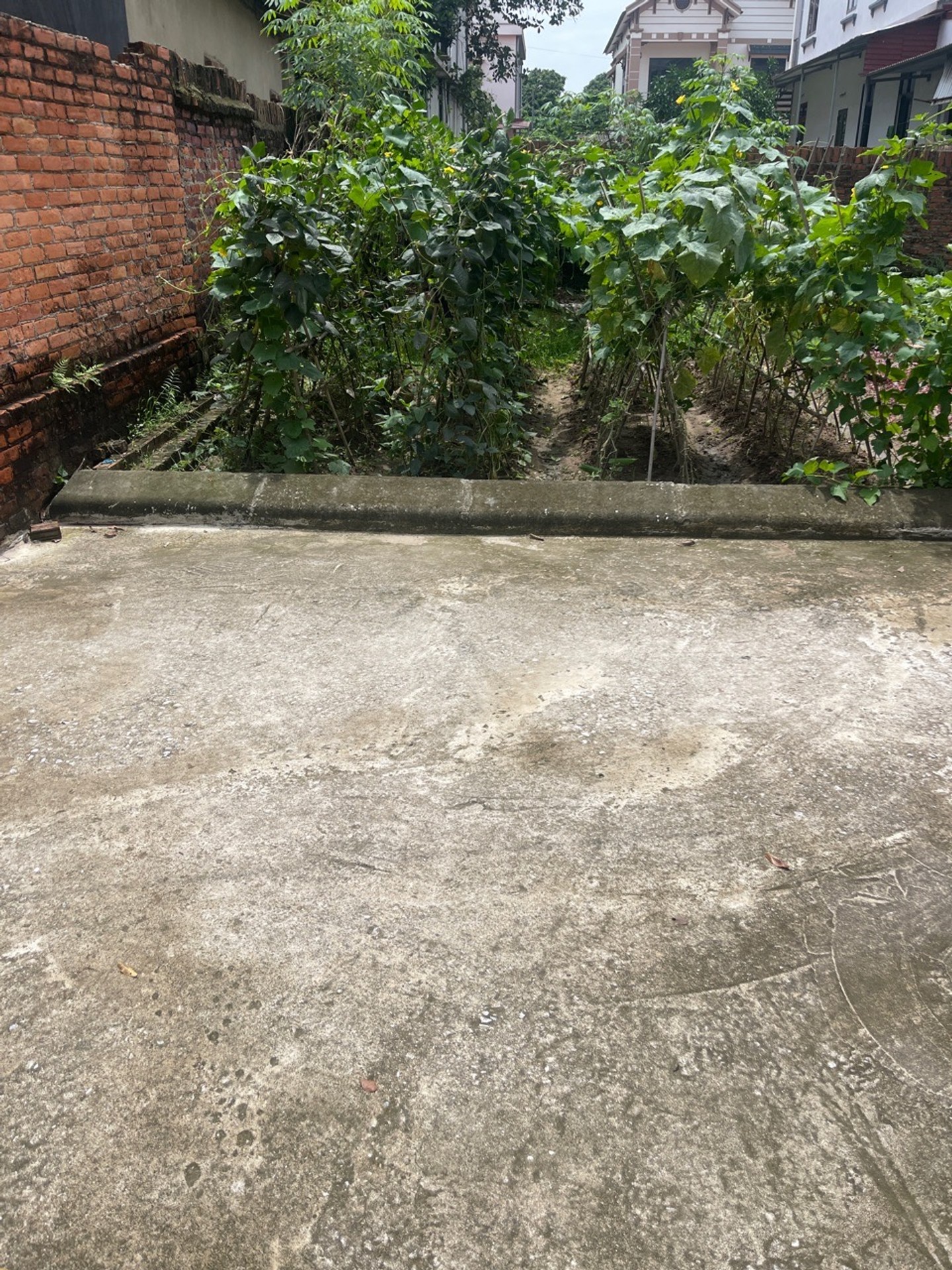 Bán đất thổ cư 66,6m2 tại xã Tiên Dược, mặt tiền 5,9m, pháp lý rõ ràng