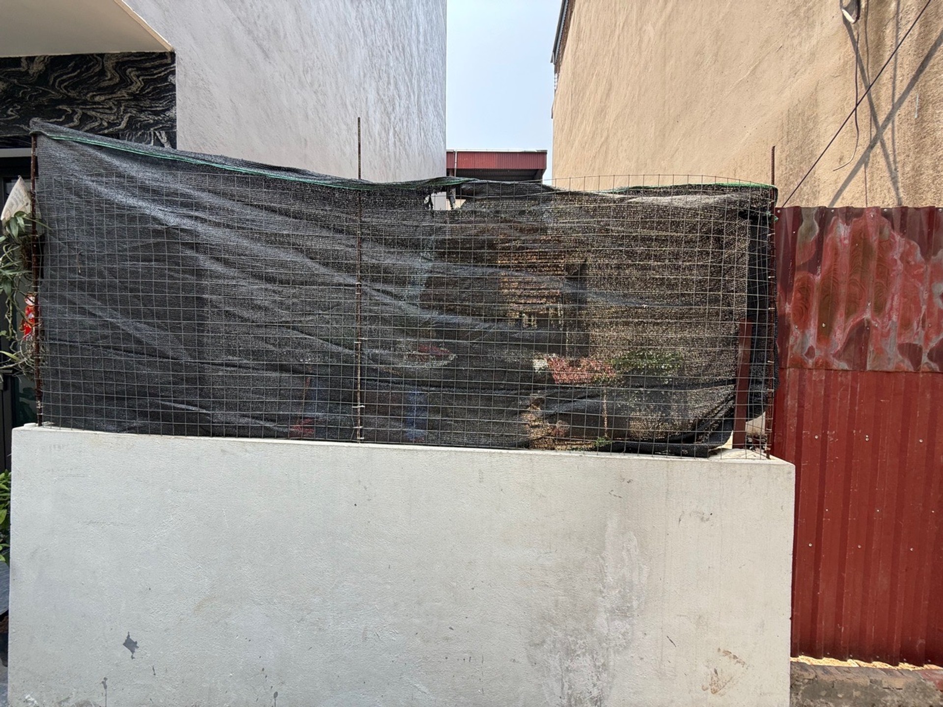 Bán đất 55m² tại phường Việt Hưng, giá tốt cho đầu tư