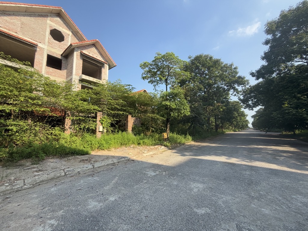 Bán đất biệt thự 351.6m2 tại Quang Minh, Mê Linh giá 22.5 tỷ