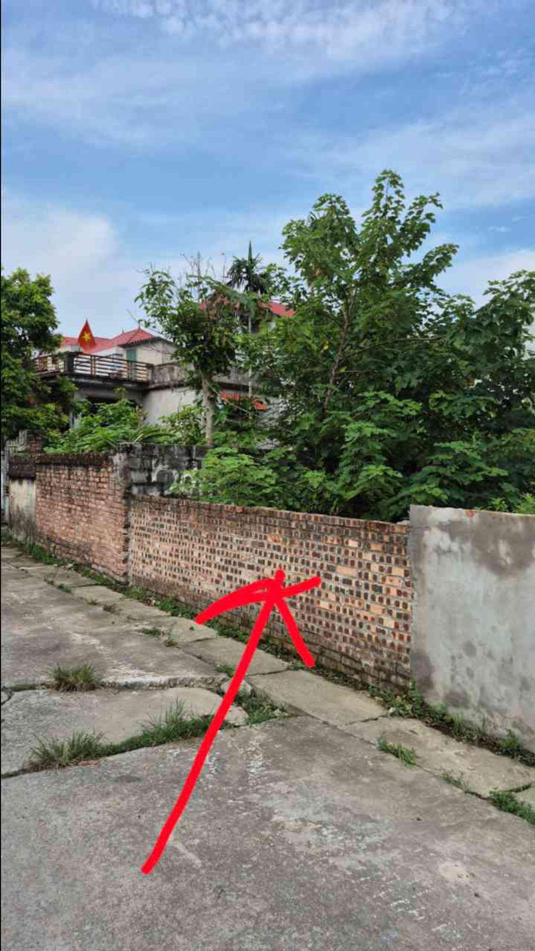 Cơ hội vàng sở hữu đất mặt tiền tại phường Ninh Xá, giá tốt hiếm có