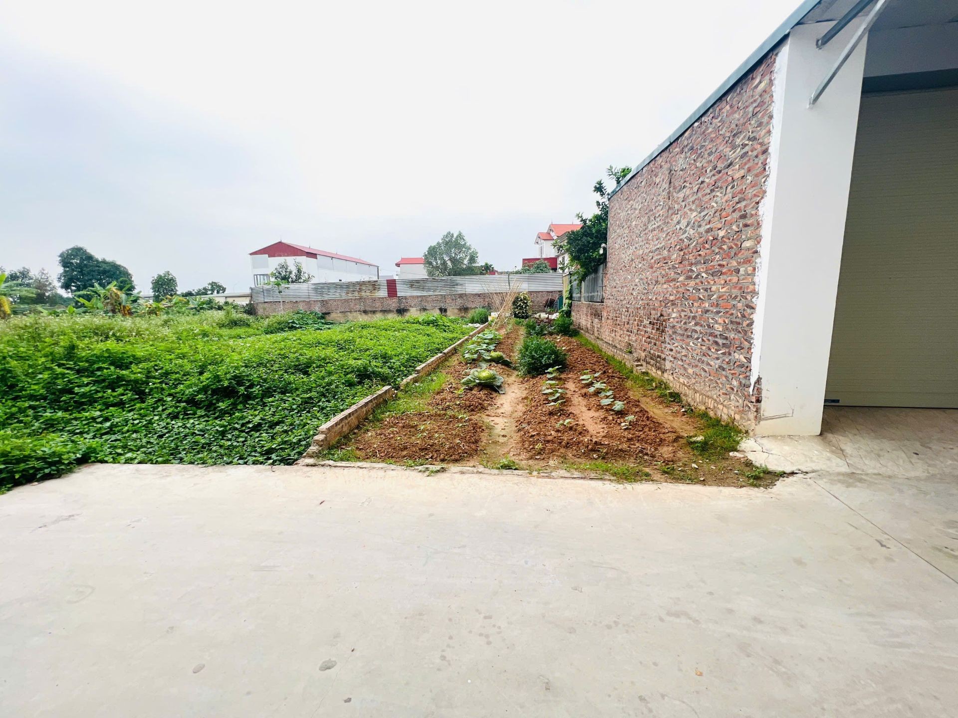 Bán đất FULL thổ cư . Lõi KCN NỘI BÀI . Gần sân bay QT Nội Bài
