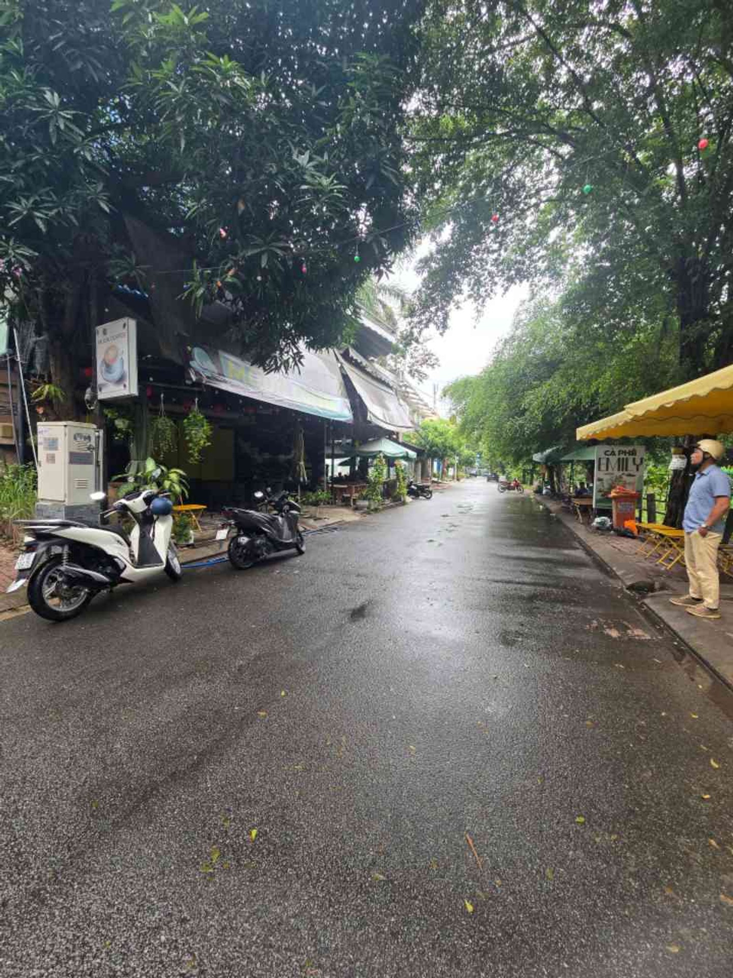 Cơ Hội Vàng Sở Hữu Nhà Mặt Phố 8m Mặt Tiền Kinh Doanh Sầm Uất Quận 8