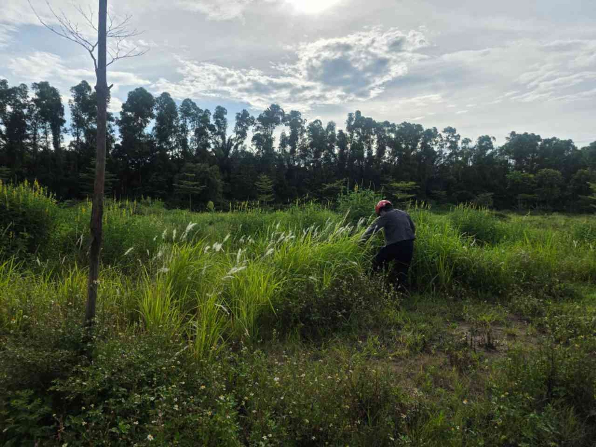 Bán đất Cửu Cao-Văn Giang, đất phân lô, đường rộng vỉa hè, Nhỉnh 1 tỷ.